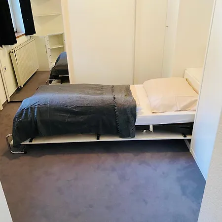 Lou Family Ludwig * ريث باي سيفيلد